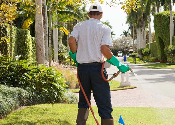 About Shell Lake WI Pest Control Pros